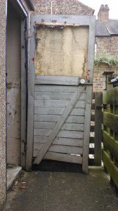 The old shed door to replace